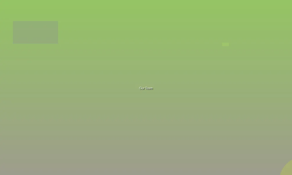 我们的团队合影